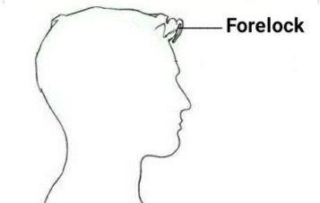 C:\Users\hp\AppData\Local\Microsoft\Windows\Temporary Internet Files\Content.Word\forelock.jpg